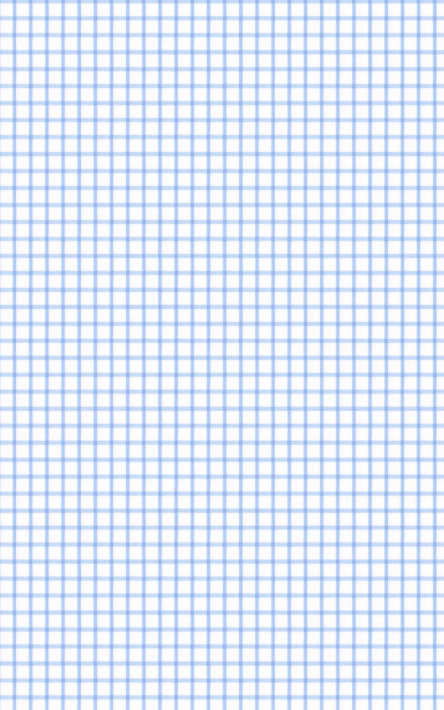 Light Blue Checks Cotton